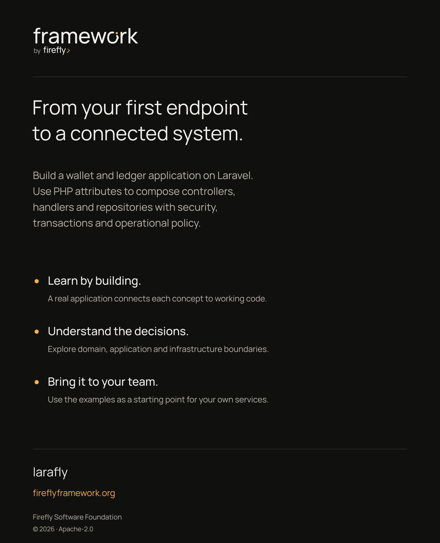Back cover of larafly by example